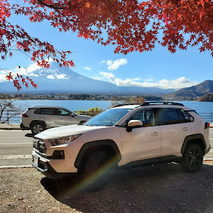 RAV4 MXAA54