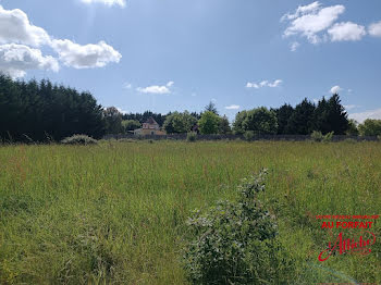 terrain à Labastide-Clermont (31)