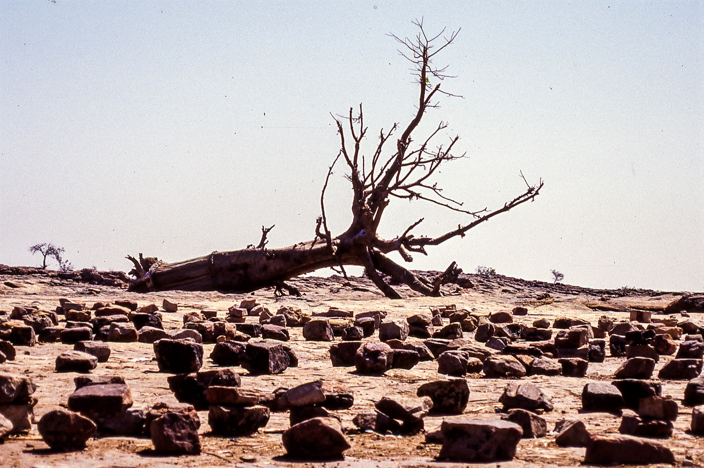 Sassi di bennardo