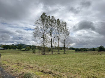 terrain à Naucelles (15)