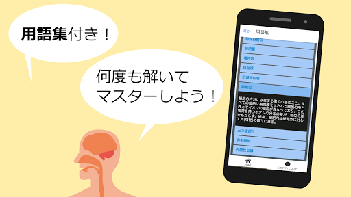 生理学 問題 無料 看護師 理学療法士 作業療法士 医師 国家試験対策 前期 動物性機能