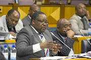 Former police minister Nathi Nhleko is in the spotlight. File photo.