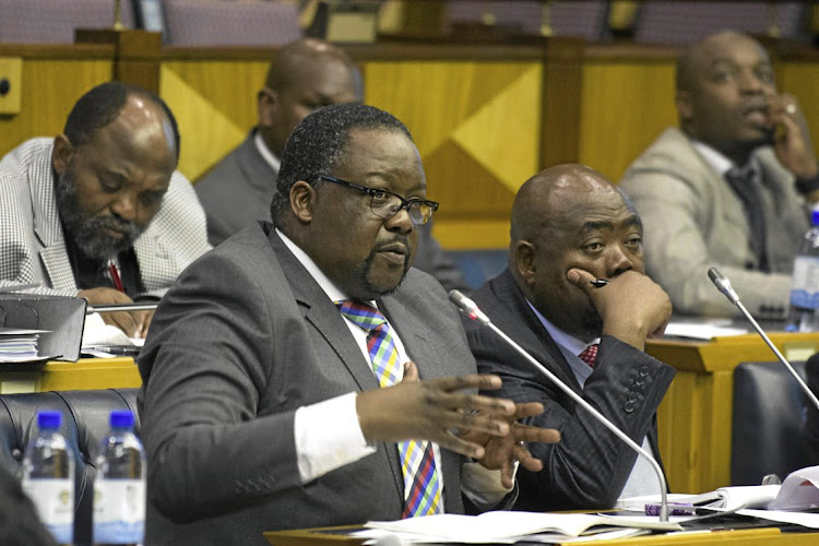 Former police minister Nathi Nhleko is in the spotlight. File photo.