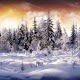 Download Winter wallpapers For PC Windows and Mac 1.0