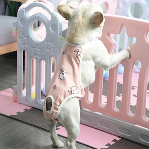 Dog Cotton Sanitary Pantie With Adjustable Strap Suspender Physiological Pants Pet Underwear Diaper Jumpsuit Dog Accesso