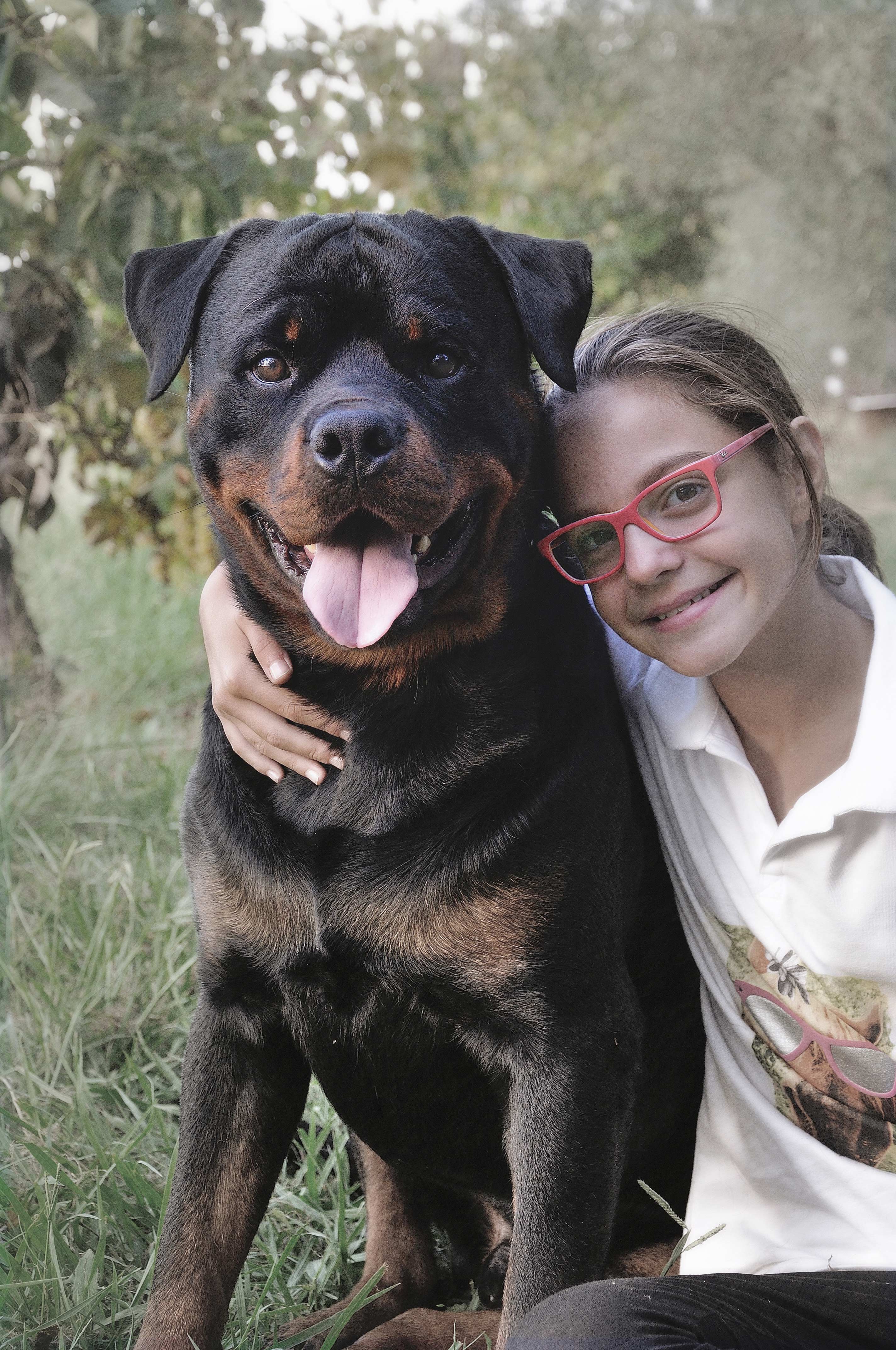 compagni di giardino di ottantuno