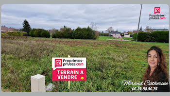 terrain à Aubeterre (10)