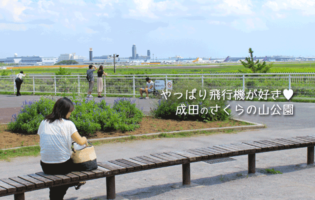 成田さくらの山で見た飛行機