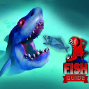 Herunterladen Feed and Grow Fish : Tips Installieren Sie Neueste APK Downloader