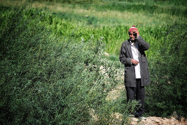 Campagna marocchina di federicapastorino