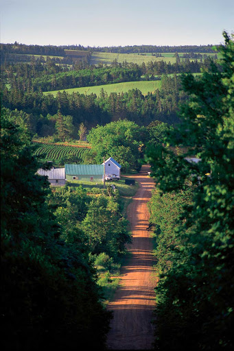 A dirt road in New Glasgow cuts through a scenic landscape on Prince Edward Island, Canada. 