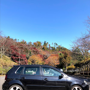 ポロ GTI