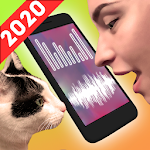 Cat Translator joke Apk