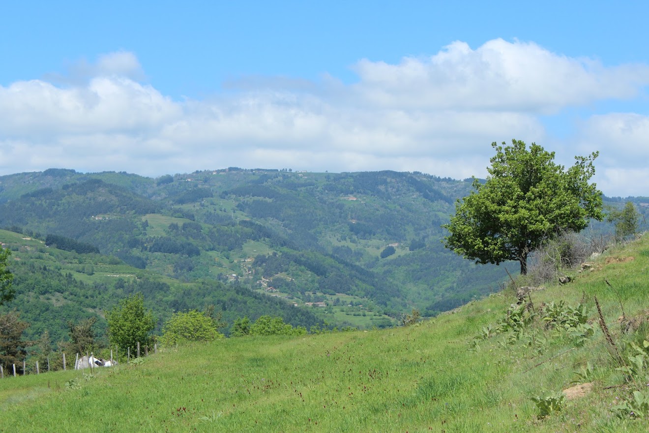 Désaignes, Le sentier des Vignes XDw2dqmkfwDM2MhxvrTaS7aDMUGsILOFOMpTdHGiAQ-039BUPAP7O2-2sq-KQ4Whim4vAXkkvSQclYfutNj6IF0r2tB8nd6iddjFAriZuudkz_zK-tRJDduiIlH_C9BPPVyfPiVI-sIIs9nndoYKwMg70NH2Zu_SzeytRvppwqg_cI2c1DjBpqjMjN5tJZ3MLe6hqeItTwlKYIdtzDyIX7CkoyFI2rMsIt18guGlT3Q2Lm4C4mlEEHpTmKD7Hc23lippGmb_jA_v7dA4MAWhXb6GhY32e3eXJ8Q6UaG02V0Zy7k1OoD7A5soZKdfiGPt-jRgo7Sa_TCzXQJyal1MQEbUotdjwE-0rH_tMQsVpKa-Y4WRgVcwYBzrJNxaKkLjr5RkD20sQx6dZEc7glL91BB64mm7vsW09EyJj_Jww56O7QuDMc9oDmhi_qCP5J0VF6q7qnOGdZ84co_JCvWsiVhYC12LG-B2UuqKoUEtfoVhDQYLWh9enDx86cftIwfuArtWtBQ4atxfQ-XSsXoll6QzgUYUKESkUhZUZtOm-VVbRtPvQKbPD-Deg2k56zLzLQjXKzJrzXS5ApDMTPs-rr3CH7shLjcc=w1320-h880-no