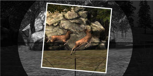 Kill The Deer Hunting Game 3D