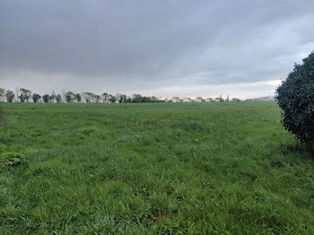 maison neuve à La Croix-en-Touraine (37)