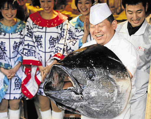 WHOPPER: A chef holds the head of a bluefin tuna after cutting its meat at a sushi restaurant in Tokyo. A 269kg tuna caught off the coast of northern Japan was sold for a record ¥56.49-million ($736234) in the country's first fish auction of the year Picture: REUTERS