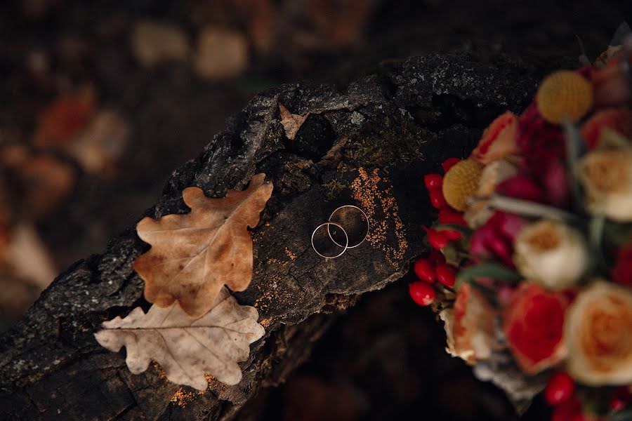 Svadobný fotograf Vadim Nikitin (vadim-sky). Fotografia publikovaná 6. októbra 2019