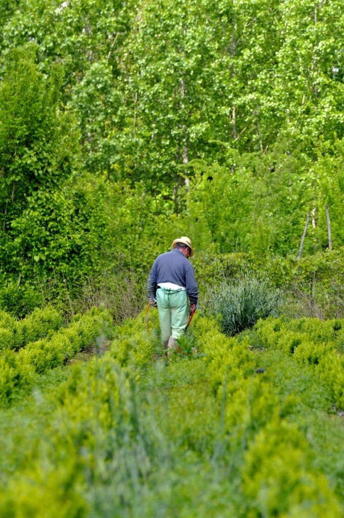 Il controllore del verde di Andrea Frati