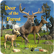 Deer of the Forest