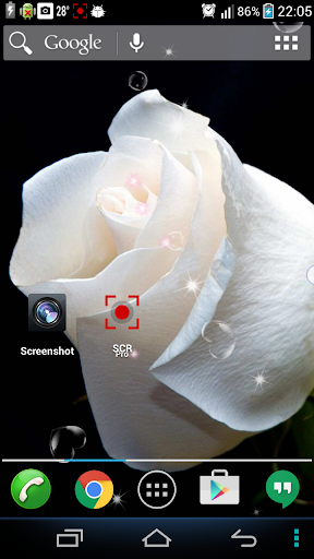 White Rose Live Wallpaper