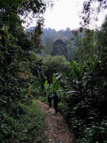 Gunung Nuang via Pangsun Never Ending Road