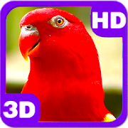 Wonderful Red Parrot Chatter  Icon