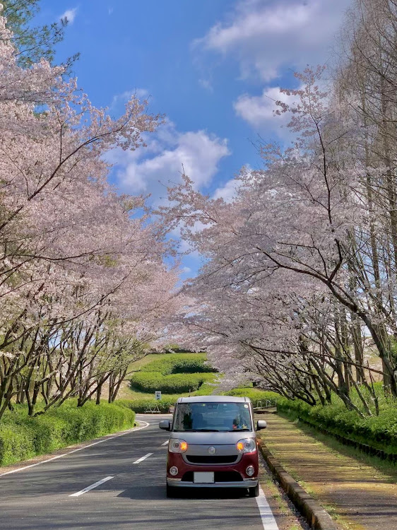 の投稿画像1枚目