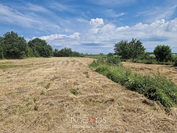 terrain à Ladaux (33)