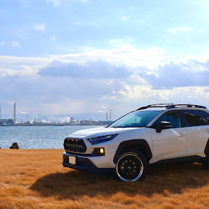 RAV4 AXAH54