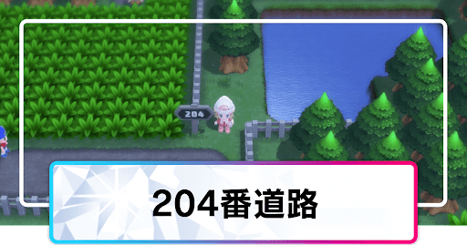 204番道路_マップ