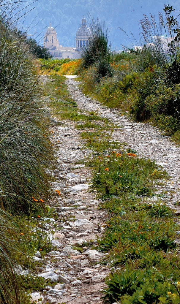 LA VIA DEL RITORNO di Salvatore Gulino