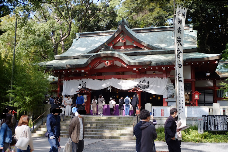イグニスのドライブ旅行・フル乗車の旅・オールドレンズに関するカスタム事例の投稿画像10枚目