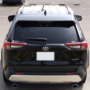 RAV4 MXAA54