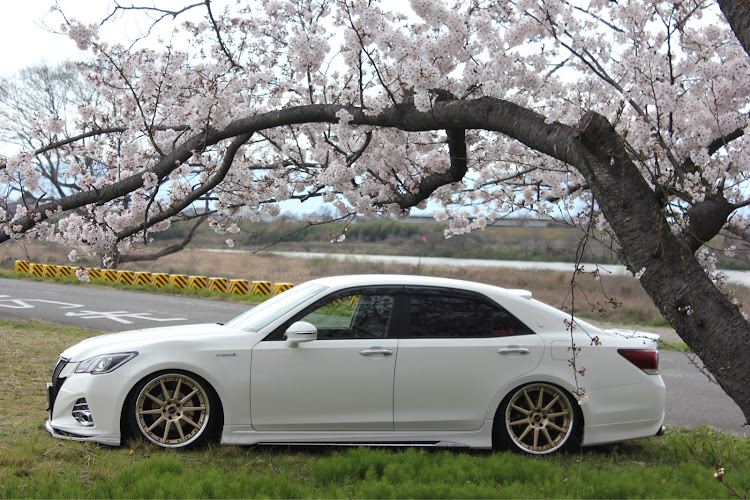 クラウンアスリートの桜と愛車・2020ベストショットに関するカスタム事例の投稿画像4枚目