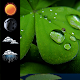 Download Weather Clock Widget Shamrock For PC Windows and Mac 1.0