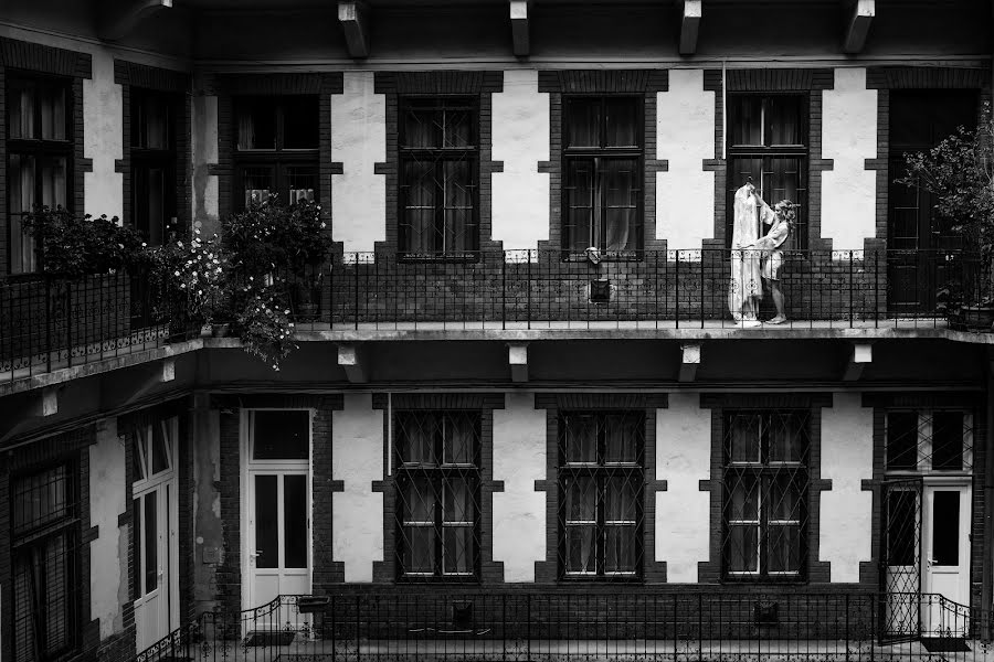 Fotógrafo de casamento Ferenc Zengő (zengoferenc). Foto de 30 de agosto 2022