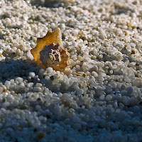 Il suono del mare di 