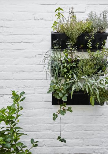 The kitchen garden is filled with herbs, a wall-mounted planter designed and made by Christo helping to maximise the space. Not only does the herb garden save Nico and Christo having to run to the shops, it also means simple favourites like a sage burnt butter for a steak can be whipped up spontaneously.