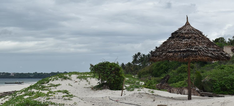 Conserving the beach./UN