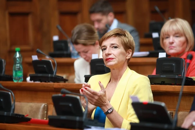 Rakić (DS): Vlast u Skupštini Srbije tokom rasprave o litijumu brani neodbranjivo