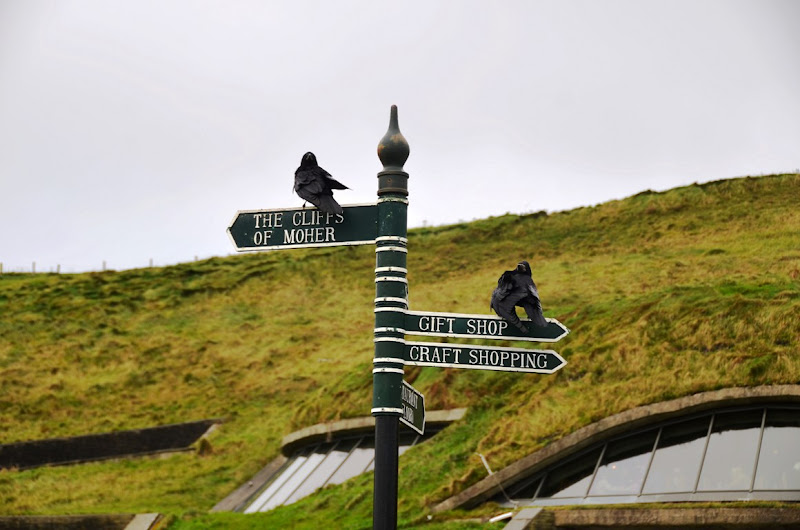 Verso le scogliere in Irlanda di Domidi