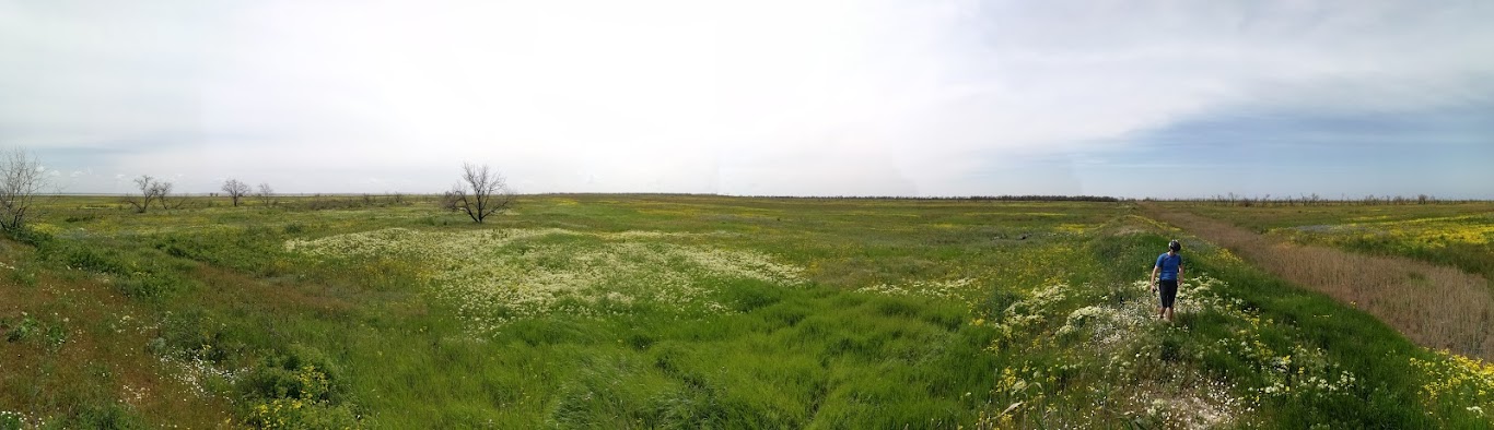 Станицы-закаты, лиманы-проколы. На велосипедах из Краснодара в Ростов