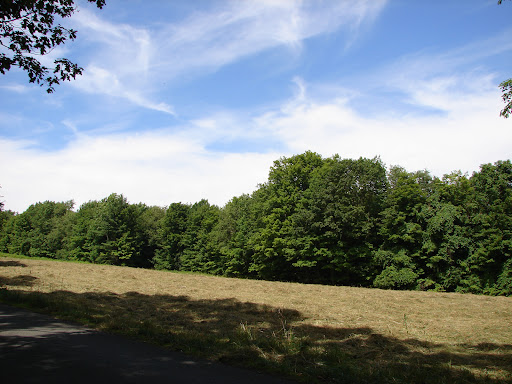 Terrain 3