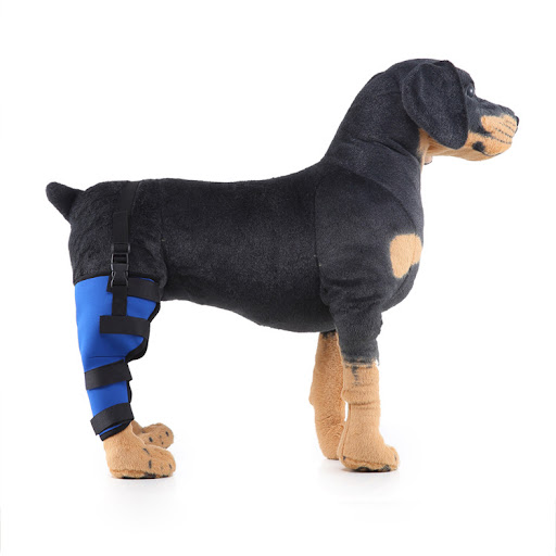 Title 15, Pet leg rehabilitation foot support. Aids in re...