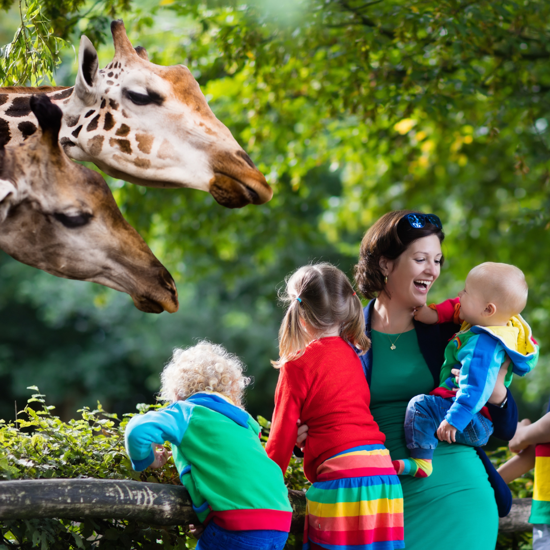 Mother at the zoo with her baby and his siblings looking at a giraffe