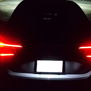 シビック FL1
