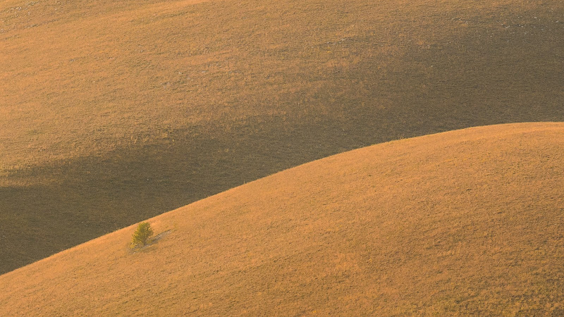 Paesaggio minimale di Cosimo Ignesti