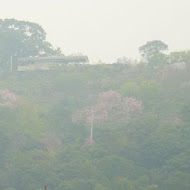 慈音山莊景觀餐廳