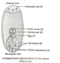 Solution Image